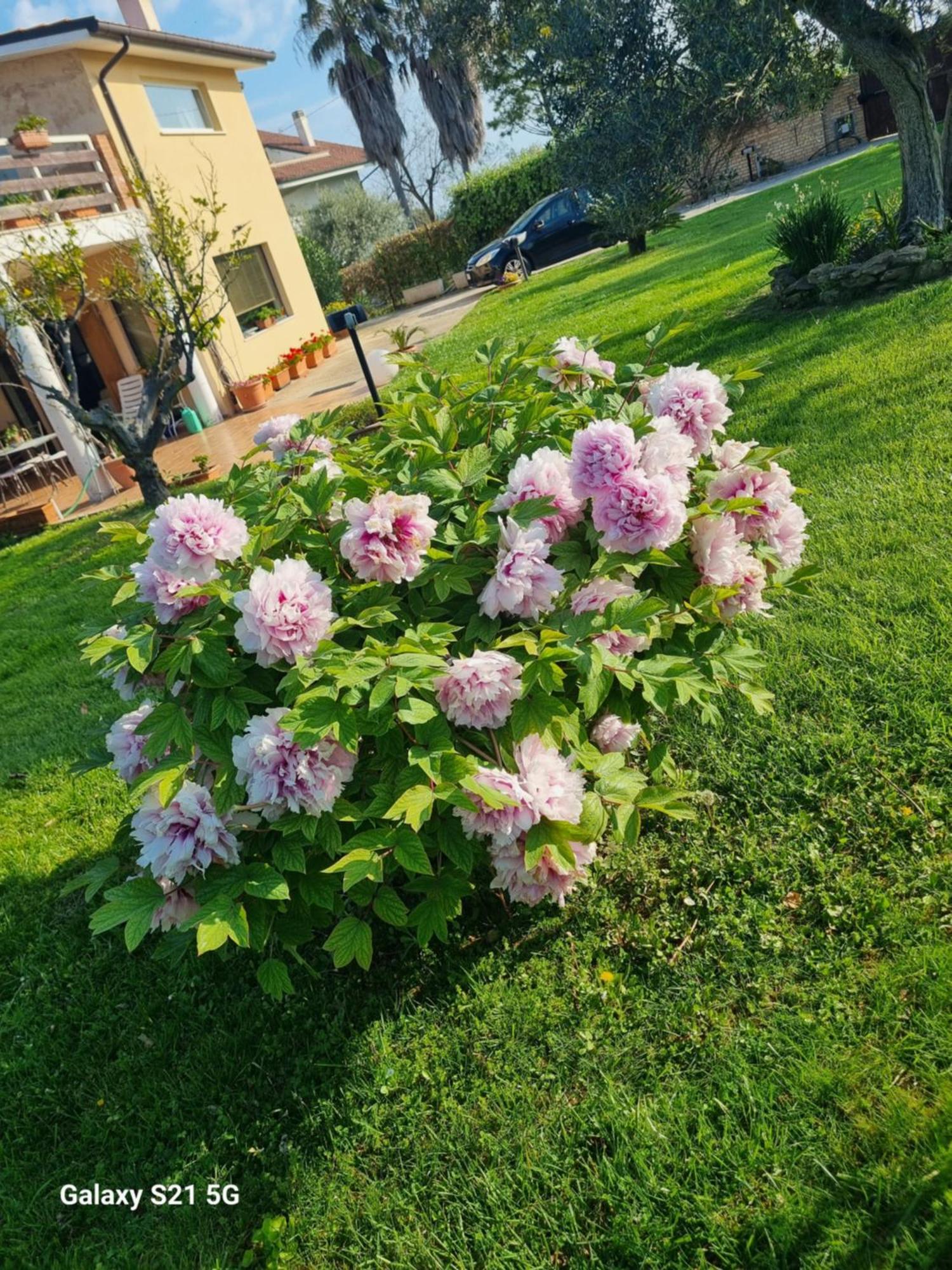 La Collina Del Riccio Apartment Ortona Exterior photo